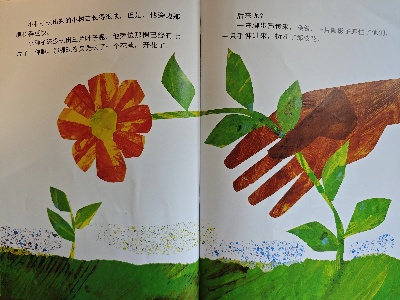 121733969881207607.jpg 12.jpg